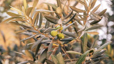 Similar image 21887309