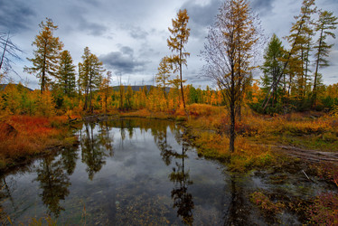 Similar image 21879832