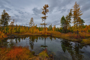 Similar image 21879833