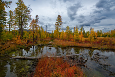 Similar image 21879836