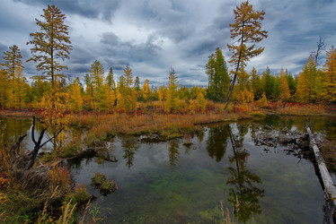 Similar image 21879837