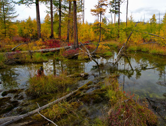 Similar image 21879838