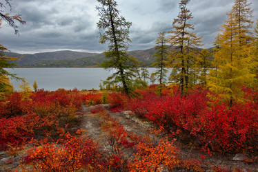 Similar image 21879840