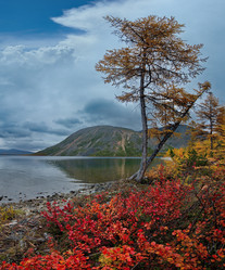 Similar image 21879842