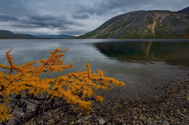 Similar image 21879843