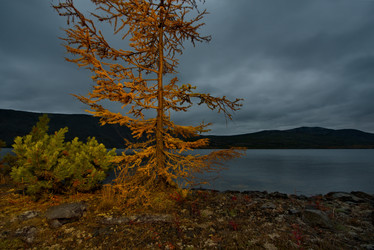 Similar image 21879844