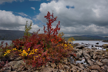 Similar image 21879845