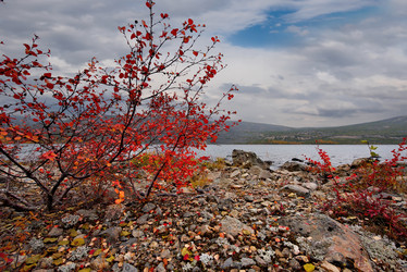 Similar image 21879846