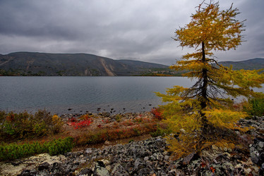 Similar image 21879847