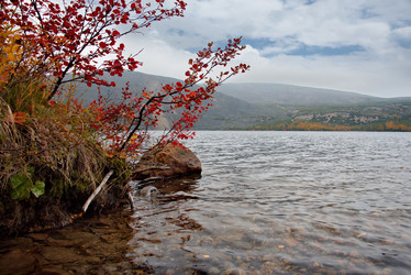 Similar image 21879851