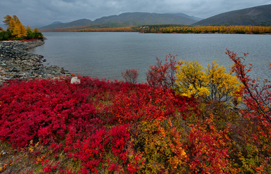 Similar image 21879852