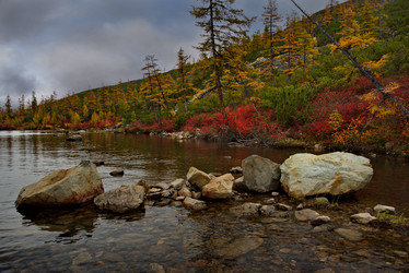 Similar image 21879854