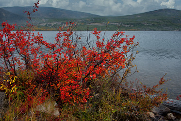 Similar image 21879855