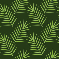 Similar image 21887931