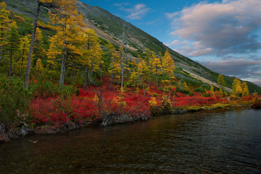 Similar image 21879859