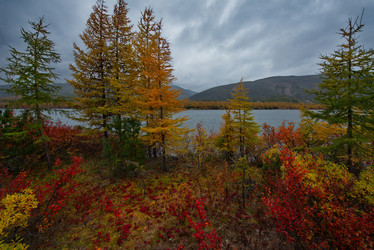 Similar image 21879861