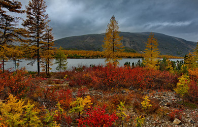 Similar image 21879863