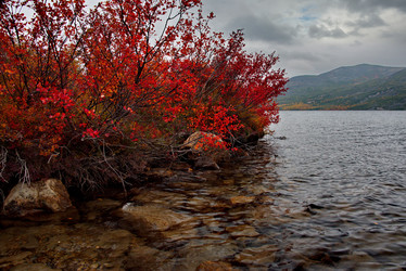 Similar image 21879865