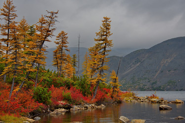 Similar image 21879867