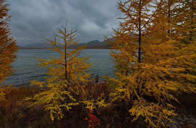 Similar image 21879870