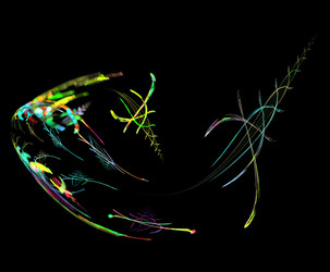 Similar image 21883821