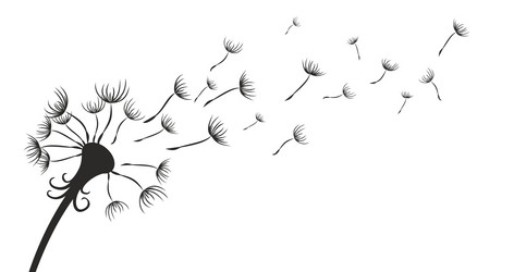 Similar image 21879105