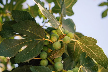 Similar image 21888749