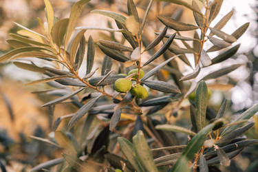 Similar image 21888930