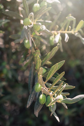 Similar image 21888931