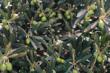 Similar image 21888974