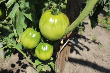 Similar image 21879464