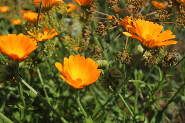 Similar image 21879467