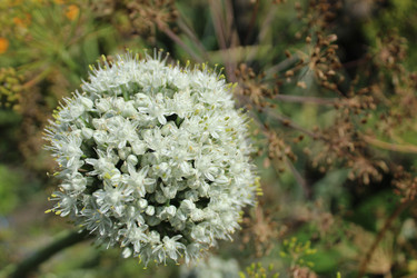 Similar image 21879468