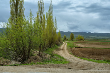 Similar image 21878944