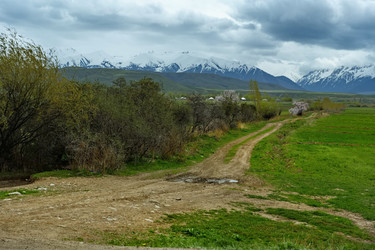 Similar image 21878948