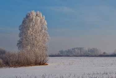 Similar image 21878949