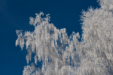 Similar image 21878950