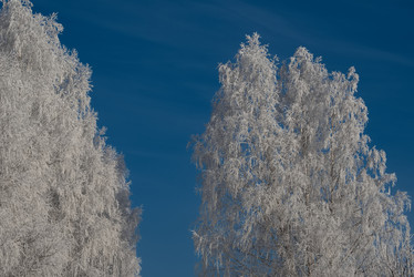 Similar image 21878952