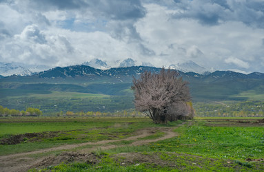 Similar image 21878958