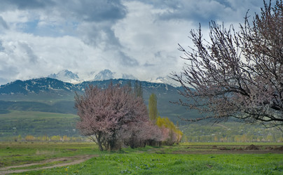 Similar image 21878959