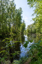 Similar image 21894462