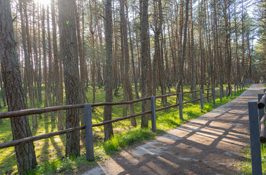 Similar image 21885208