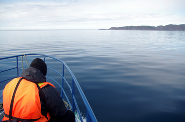 Similar image 21878683