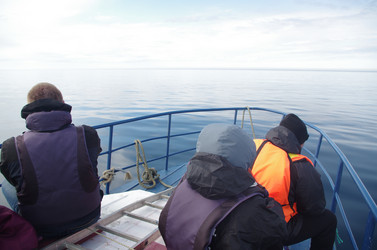 Similar image 21878684