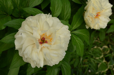 Similar image 21878816