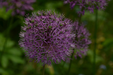 Similar image 21878818