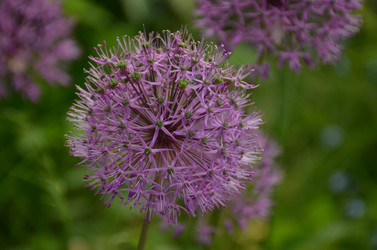 Similar image 21878819