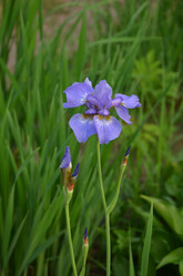 Similar image 21878820