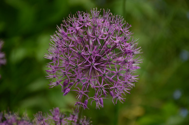 Similar image 21878821