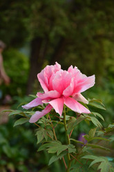 Similar image 21878822